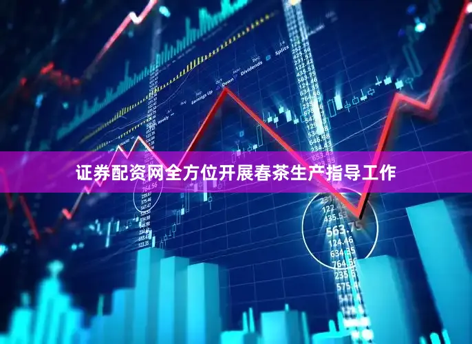 证券配资网全方位开展春茶生产指导工作