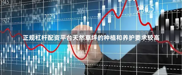 正规杠杆配资平台天然草坪的种植和养护要求较高