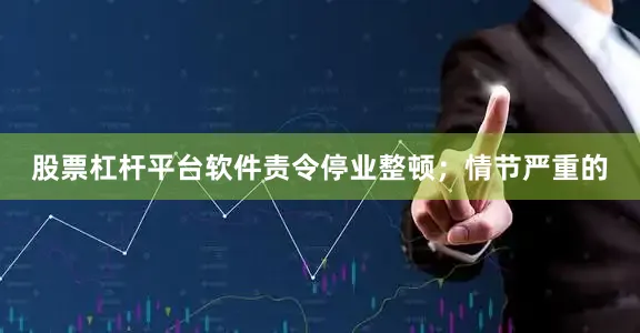 股票杠杆平台软件责令停业整顿；情节严重的