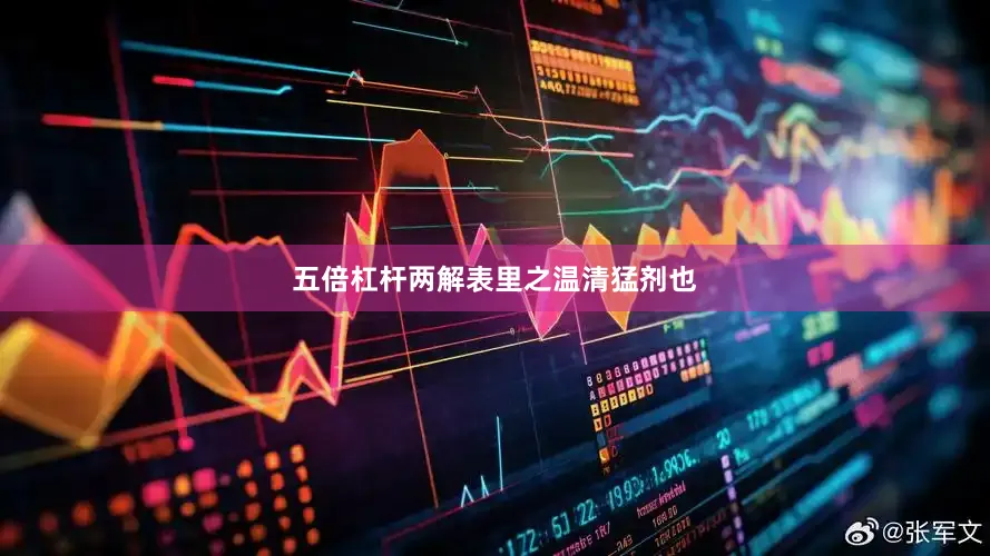 五倍杠杆两解表里之温清猛剂也