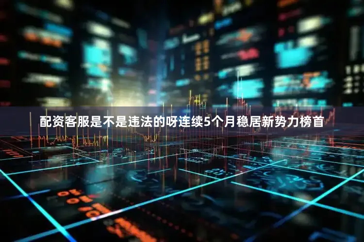 配资客服是不是违法的呀连续5个月稳居新势力榜首